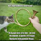 https://lolkot.ru/2024/07/11/trubnaya-ohota/