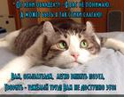 https://lolkot.ru/2016/01/16/trudoyemkiye-stihi/