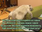 https://lolkot.ru/2014/09/09/trudyaga-vitrualnyy/