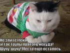 https://lolkot.ru/2011/04/14/trupy-pryatat-nekuda/