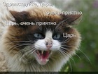 https://lolkot.ru/2012/08/10/tsar-3/