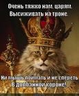 https://lolkot.ru/2015/03/06/tsar-5/