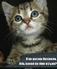 https://lolkot.ru/2015/10/29/tsarevich-nesmeyan/