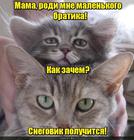 https://lolkot.ru/2016/10/10/tselevoye-naznacheniye/