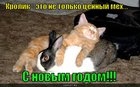 https://lolkot.ru/2011/01/01/tsennyy-meh/