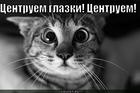 https://lolkot.ru/2012/11/10/tsentruyem-glazki-tsentruyem/