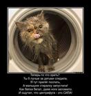 https://lolkot.ru/2015/07/22/tsetrifugirovaniye/