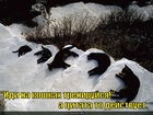 https://lolkot.ru/2011/03/23/tsitata-deystvuyet/