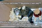 https://lolkot.ru/2012/09/28/tsyplyat-po-oseni/