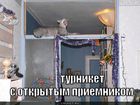 https://lolkot.ru/2011/03/12/turniket/
