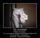 https://lolkot.ru/2012/01/13/ty-dolzhna/