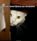 https://lolkot.ru/2012/06/18/ty-kto-takoy-3/