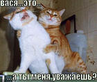 https://lolkot.ru/2011/01/01/ty-menya-uvazhayesh-3/