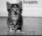https://lolkot.ru/2012/06/06/ty-sdash/