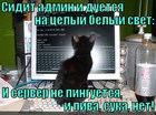 https://lolkot.ru/2012/08/09/tyazhela-zhizn-admina/