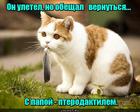 https://lolkot.ru/2016/07/27/tyazhelaya-artilleriya/