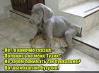 https://lolkot.ru/2016/05/11/tyazhest-druzhby/
