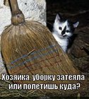 https://lolkot.ru/2010/10/31/uborku-zateyala/