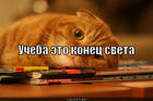 https://lolkot.ru/2012/10/07/ucheba-eto-konets-sveta/