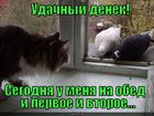 https://lolkot.ru/2010/11/12/udachnyy-denek/