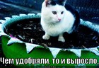 https://lolkot.ru/2011/03/21/udobryali/