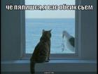 https://lolkot.ru/2010/06/09/ugroza/