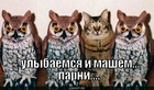 https://lolkot.ru/2011/03/19/ulybayemsya-i-mashem-3/