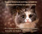 https://lolkot.ru/2025/02/08/umelaya-hozyayka/