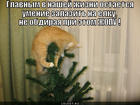 https://lolkot.ru/2012/09/17/umeniye/