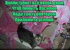 https://lolkot.ru/2016/02/16/upyaterennyye-usiliya/