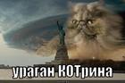 https://lolkot.ru/2012/11/01/uragan-kotrina/