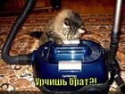https://lolkot.ru/2012/02/14/urchish/