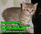 https://lolkot.ru/2016/02/21/uroki-zhizni/