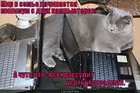 https://lolkot.ru/2011/11/08/usatyy-sisadmin/