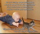 https://lolkot.ru/2025/08/14/uskolzuchaya-udacha/