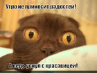 https://lolkot.ru/2010/07/10/usnul-s-krasavitsey/