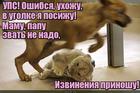 https://lolkot.ru/2015/11/01/uspet-by-izvinitsya/