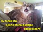 https://lolkot.ru/2016/04/19/ustrashayuschiy-razmer/