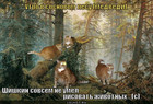 https://lolkot.ru/2012/01/13/utro-v-sosnovom-lesu/