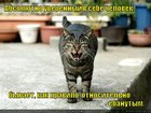 https://lolkot.ru/2012/07/18/uverennyy-v-sebe-chelovek/