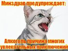 https://lolkot.ru/2011/06/04/uvlekatelnyye-priklyucheniya/