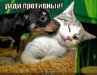 https://lolkot.ru/2011/02/02/uydi-protivnyy/