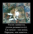 https://lolkot.ru/2016/04/13/uzelkovyy-paradoks/