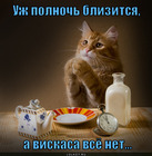 https://lolkot.ru/2012/07/24/uzh-polnoch-blizitsya-a-viskasa-vsyo-net/