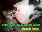 https://lolkot.ru/2016/11/23/uzhasnyy-lyubitel/
