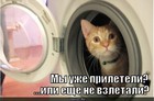 https://lolkot.ru/2011/03/25/uzhe-prileteli/