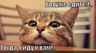 https://lolkot.ru/2012/11/18/uzhe/