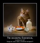 https://lolkot.ru/2012/09/24/uzhina-vsyo-net/