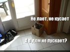https://lolkot.ru/2011/06/08/v-dom-ne-puskayet/