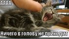 https://lolkot.ru/2011/03/30/v-golovu-ne-prihodit/